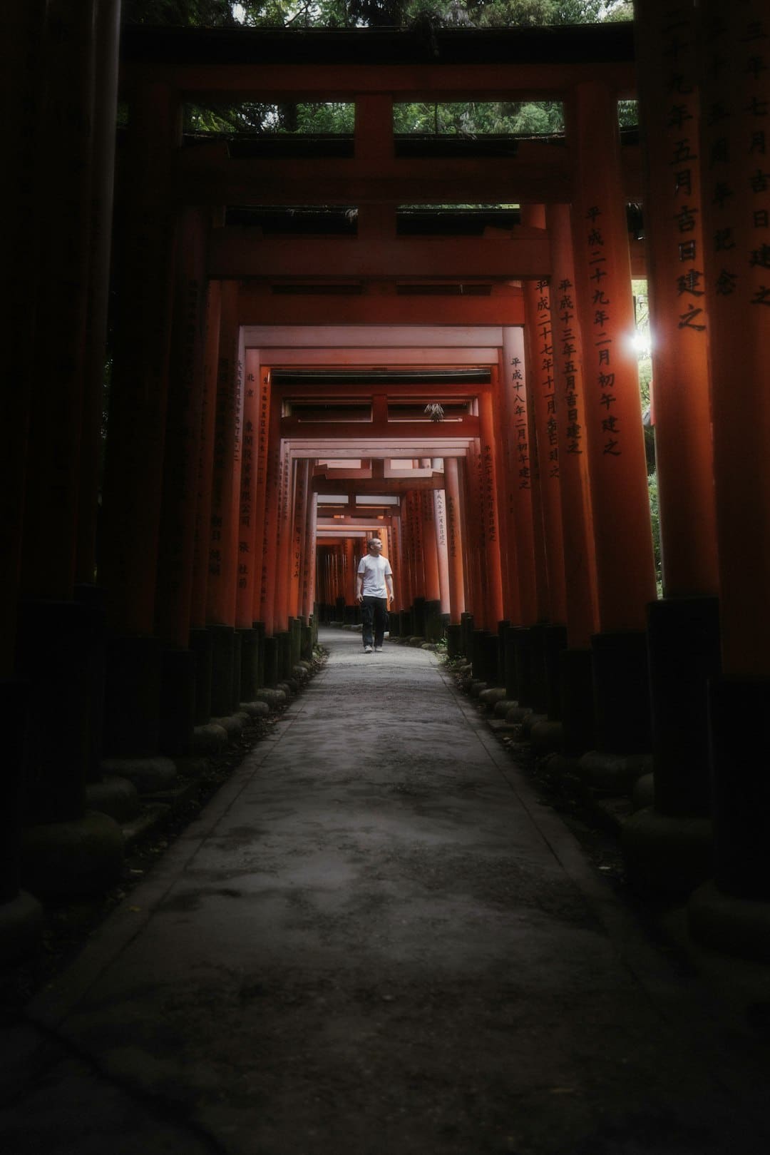 《致芳华2》首映李梦化身莫郁华羞涩表白金世佳